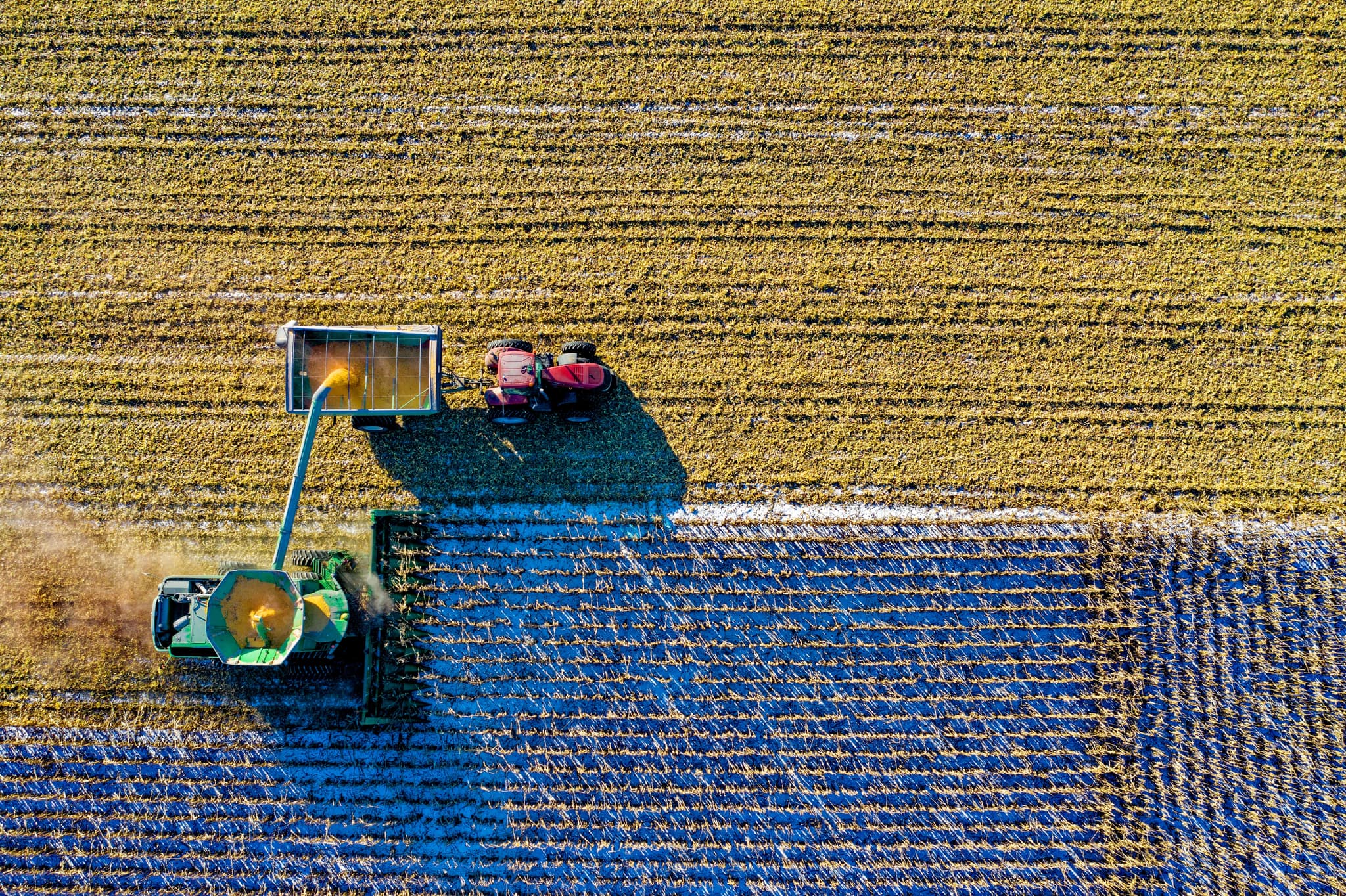 AI Agents Revolutionizing Agriculture