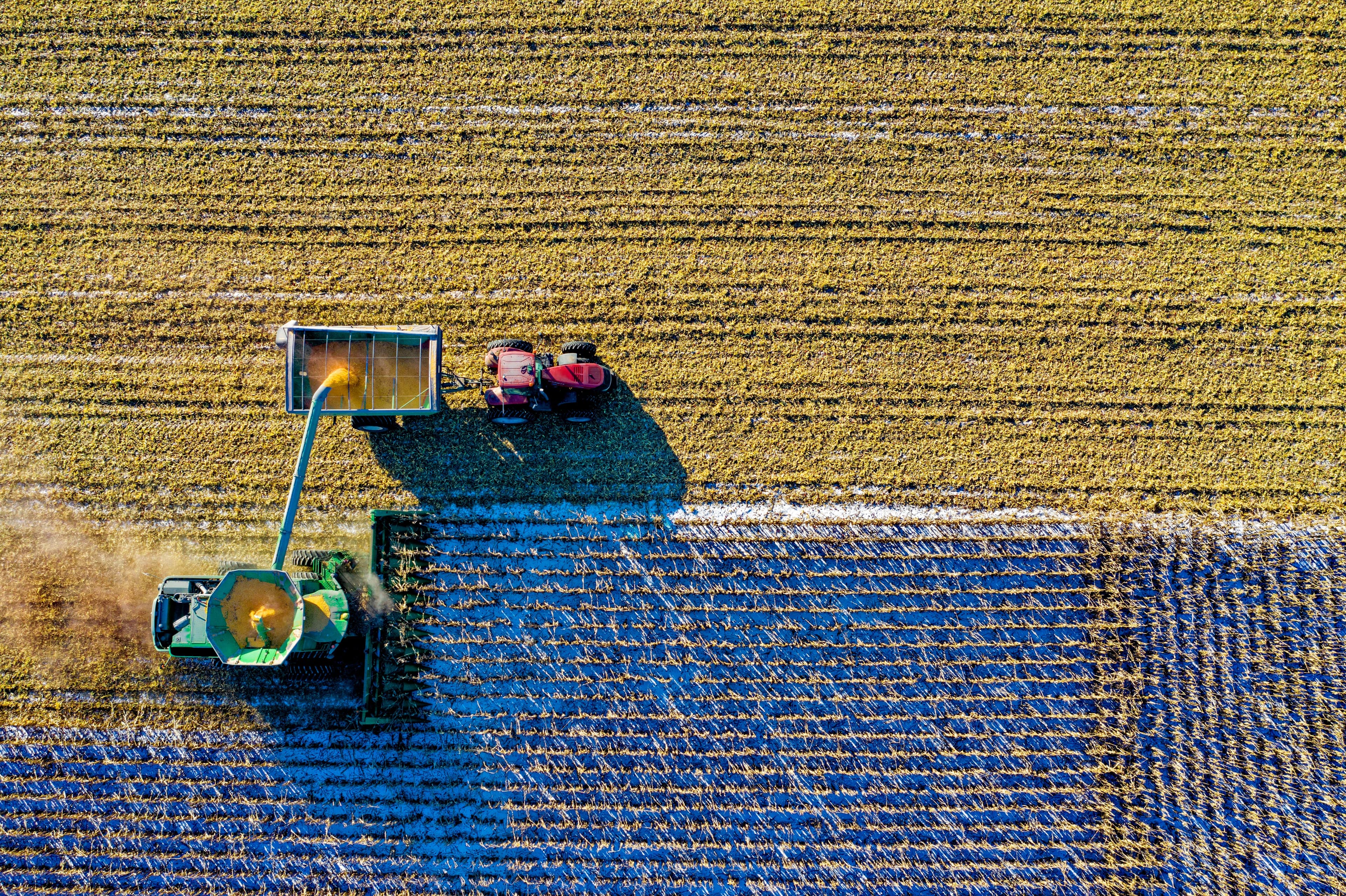 AI in farming blogpost
